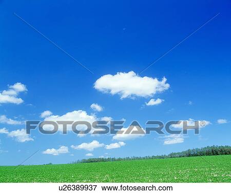 Stock Photo - Grassland and blue sky. Fotosearch