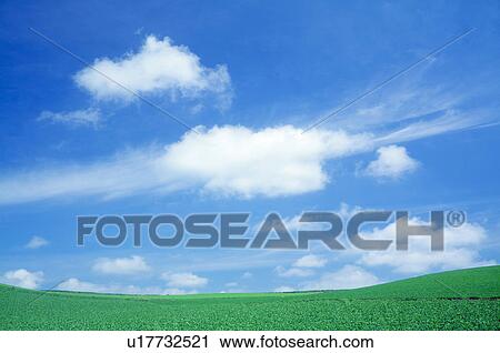 Lake and blue sky(beat field) View Large Photo Image Stock Image - Lake and blue sky(beat field). Fotosearch