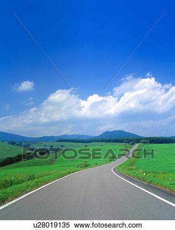 Road in meadow View Large Photo Image Stock Photography - Road in meadow. Fotosearch
