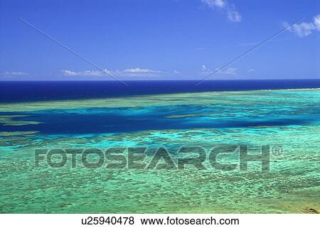 Stock Photo - Sea in coral reef. Fotosearch