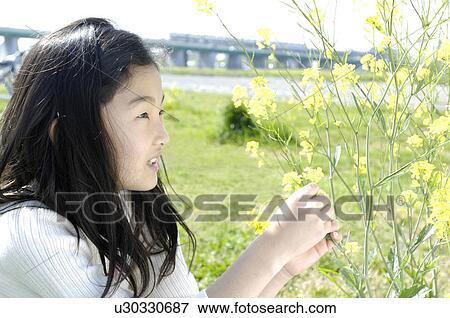 Girl on the grassland View Large Photo Image Stock Photo - Girl on the grassland. Fotosearch