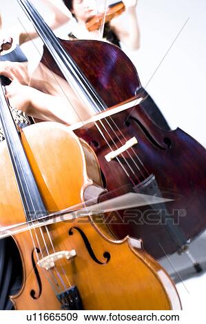 Stock Photo - Cello and contrabass. Fotosearch
