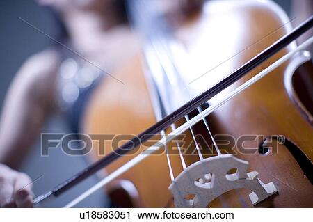 Cello View Large Photo Image Stock Image - Cello. Fotosearch