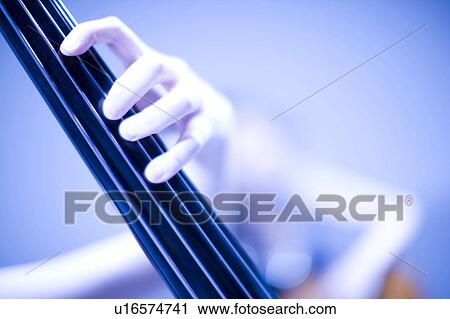 Contrabass View Large Photo Image Stock Image - Contrabass. Fotosearch