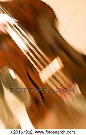 Stock Image - Contrabass. Fotosearch