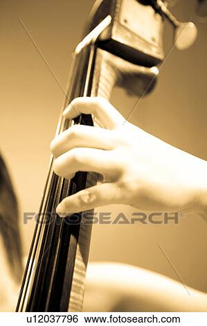 Stock Photograph - Contrabass. Fotosearch