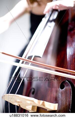 Stock Photograph - Contrabass. Fotosearch