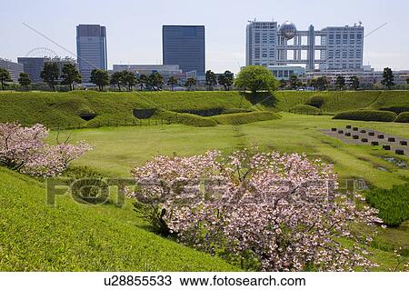 Stock Image - Cherry in Odaiba. Fotosearch