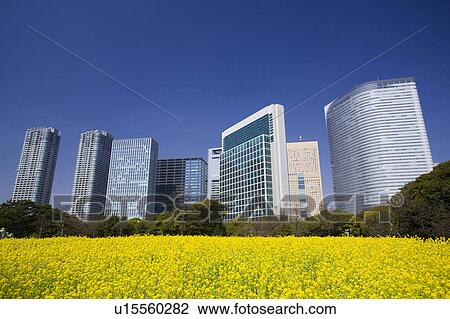 Shiodome high-rise buildings View Large Photo Image Stock Image - Shiodome high-rise buildings. Fotosearch