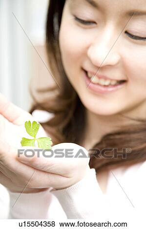 Herb View Large Photo Image Stock Photo - Herb. Fotosearch