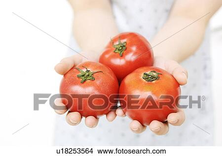Picture - Woman having tomatoes. Fotosearch