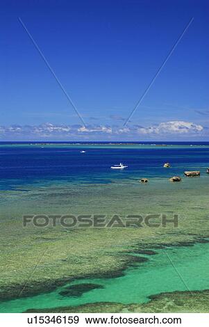 Stock Photo - Sea in coral reef. Fotosearch