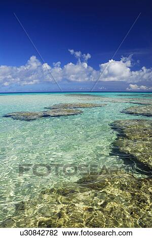 Stock Image - Sea. Fotosearch