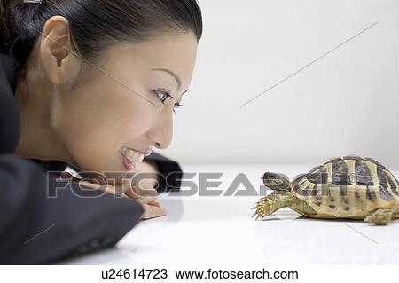 Stock Image - Turtle and the business lady. Fotosearch