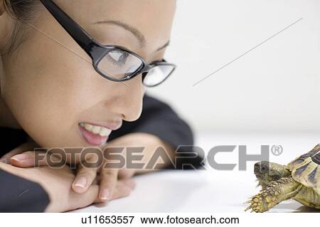 Turtle and the business lady View Large Photo Image Stock Photo - Turtle and the business lady. Fotosearch