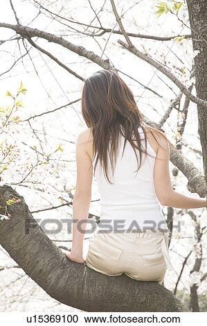 Stock Image - Woman who climbs a tree. Fotosearch
