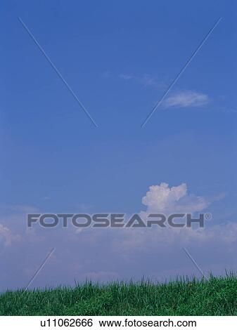 Grass field and blue sky View Large Photo Image Stock Photograph - Grass field and blue sky. Fotosearch