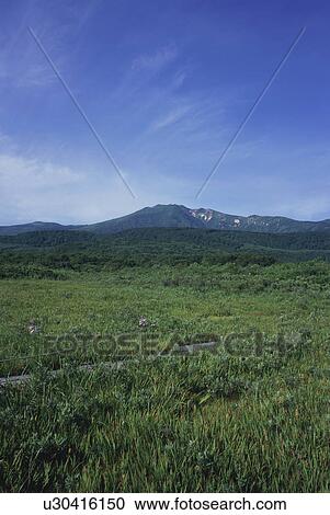 Stock Image - Grass field in Aomori Prefecture, Japan. Fotosearch