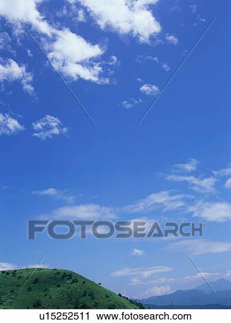 Green field and blue sky View Large Photo Image Stock Image - Green field and blue sky. Fotosearch