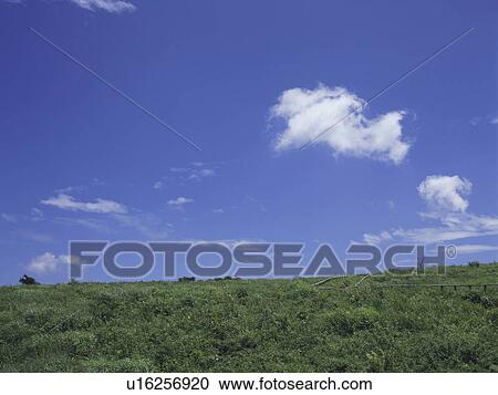 Green field and blue sky View Large Photo Image Stock Image - Green field and blue sky. Fotosearch