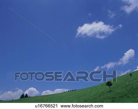Green field and blue sky View Large Photo Image Stock Image - Green field and blue sky. Fotosearch