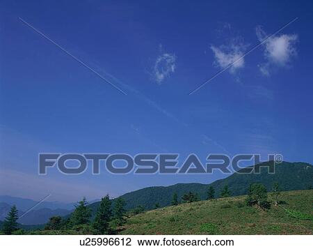 Green field and blue sky View Large Photo Image Stock Image - Green field and blue sky. Fotosearch