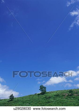 Stock Image - Green field and blue sky. Fotosearch