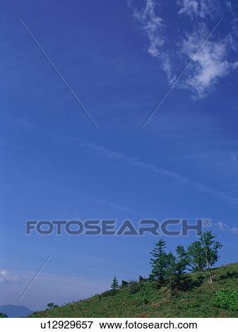 Green field and blue sky View Large Photo Image Stock Photo - Green field and blue sky. Fotosearch