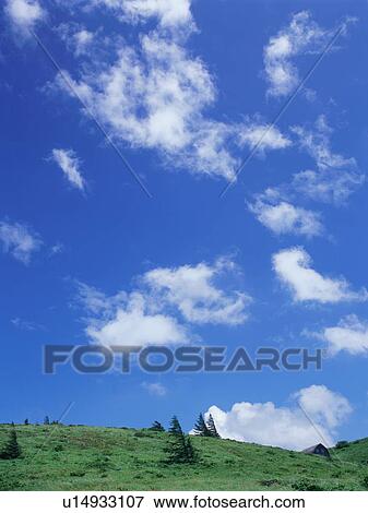 Green field and blue sky View Large Photo Image Stock Photo - Green field and blue sky. Fotosearch