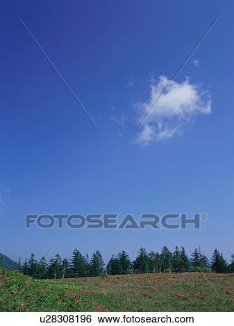 Green field and blue sky View Large Photo Image Stock Photograph - Green field and blue sky. Fotosearch