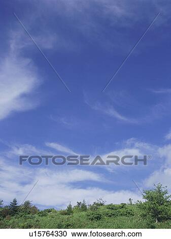 Stock Image - Green field and sky. Fotosearch