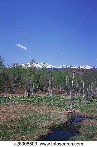 Stock Photo - Ichinose Enchi, Norikura Highland, Nagano Prefecture, Japan. Fotosearch