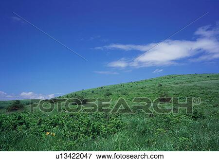 Kirigamine Highland, Nagano Prefecture, Japan View Large Photo Image Stock Photo - Kirigamine Highland, Nagano Prefecture, Japan. Fotosearch