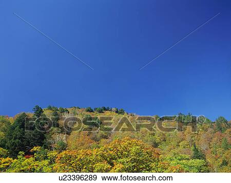 Oze, Gunma Prefecture, Japan View Large Photo Image Stock Photo - Oze, Gunma Prefecture, Japan. Fotosearch