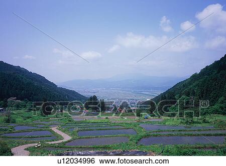 Stock Photograph - Rice field in Nagano Prefecture, Japan. Fotosearch
