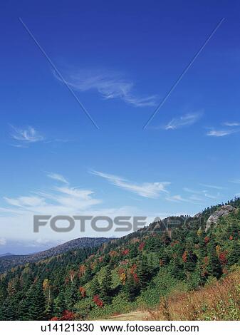 Shiga Plateau, Nagano Prefecture, Japan View Large Photo Image Stock Image - Shiga Plateau, Nagano Prefecture, Japan. Fotosearch