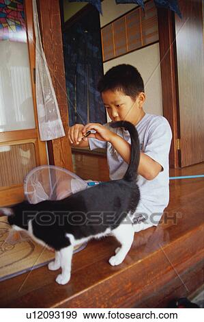 Boy studying insect View Large Photo Image Stock Photo - Boy studying insect. Fotosearch