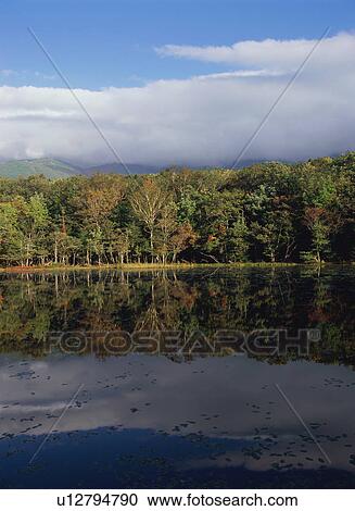 Five Lakes in Shiretoko, Hokkaido, Japan View Large Photo Image Stock Image - Five Lakes in Shiretoko, Hokkaido, Japan. Fotosearch