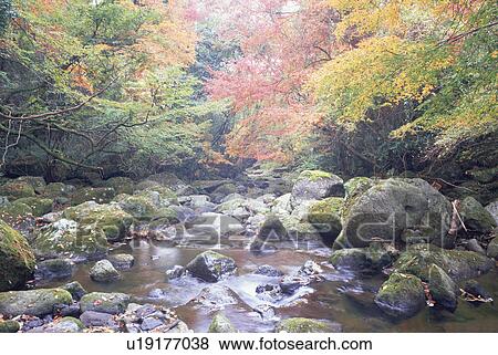 Kikuchi Ravine, Kumamoto Prefecture, Japan View Large Photo Image Stock Photo - Kikuchi Ravine, Kumamoto Prefecture, Japan. Fotosearch
