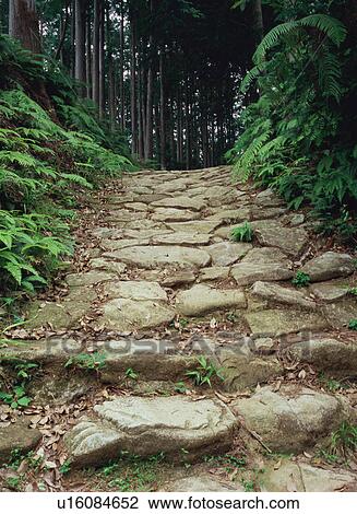 Pilgrimage route in Kumano View Large Photo Image Stock Image - Pilgrimage route in Kumano. Fotosearch