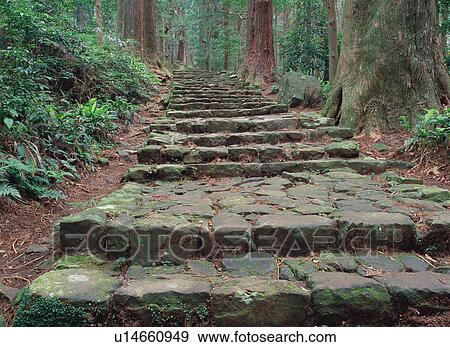 Pilgrimage route in Kumano View Large Photo Image Stock Photo - Pilgrimage route in Kumano. Fotosearch