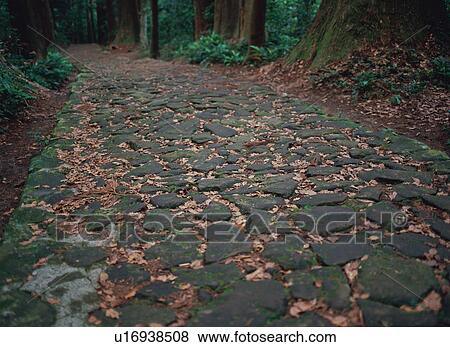 Stock Photo - Pilgrimage route in Kumano. Fotosearch