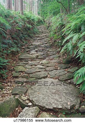 Pilgrimage route in Kumano View Large Photo Image Stock Photography - Pilgrimage route in Kumano. Fotosearch