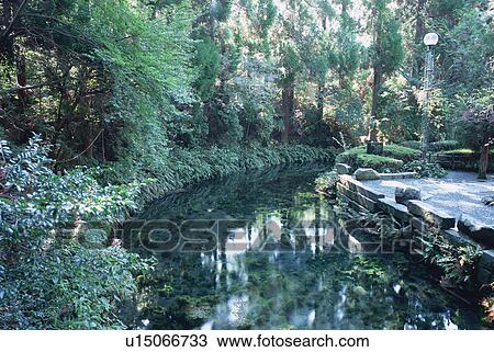 Shirakawa Riverhead, Kumamoto Prefecture, Japan View Large Photo Image Stock Image - Shirakawa Riverhead, Kumamoto Prefecture, Japan. Fotosearch