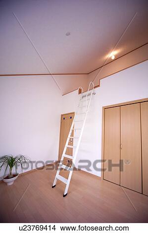 Picture - Ladder in a room. Fotosearch