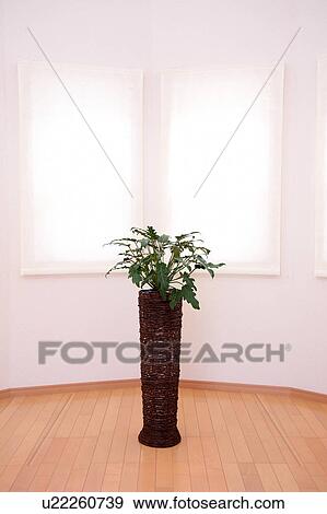 Stock Photo - Potted plant on wooden floor. Fotosearch