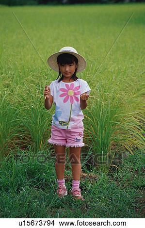 Girl standing in rice paddy View Large Photo Image Picture - Girl standing in rice paddy. Fotosearch