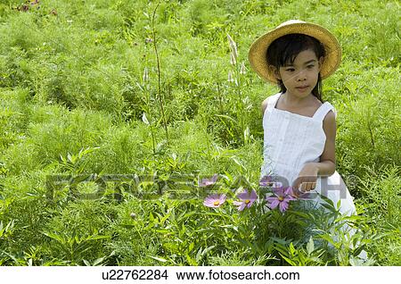 Picture - Girl touching cosmos flowers. Fotosearch