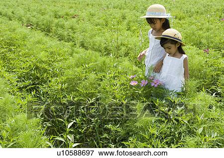 Two girls looking at flowers View Large Photo Image Stock Photo - Two girls looking at flowers. Fotosearch