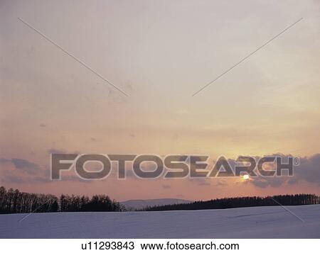 Snow-covered field in Hokkaido, Japan View Large Photo Image Stock Image - Snow-covered field in Hokkaido, Japan. Fotosearch